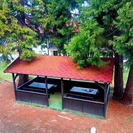 кедър 5 * Dolna Banya